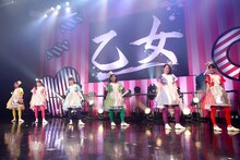 チームしゃちほこ