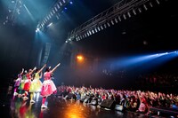 「乙女祭り2015」の様子。