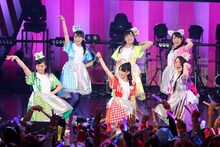 チームしゃちほこ