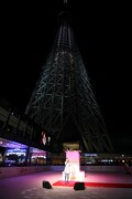 東京スカイツリーをバックに歌う華原朋美。