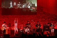 キュウソネコカミ