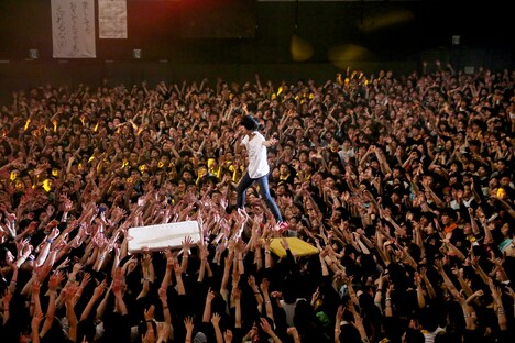 キュウソネコカミ「DMCC -REAL ONEMAN TOUR- EXTRA!!!～Don't Make ChoColate～」東京・豊洲PIT公演の模様。（Photo by Viola Kam［V'z Twinkle Photography］）