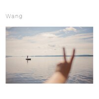王舟「Wang」ジャケット