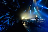 ゲスの極み乙女。「ワンマンツアー追加公演『ゲスでいこか vol.3』～東京編～」東京・新木場STUDIO COAST公演の模様。（撮影：橋本塁）