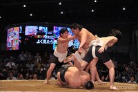 2014年の「大相撲 超会議場所」の様子。