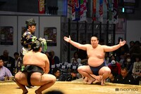2014年の「大相撲 超会議場所」の様子。