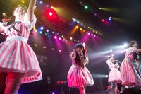 paletによるライブの様子。