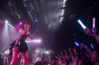 prediaによるライブの様子。