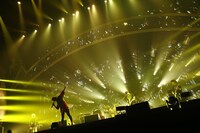 木村カエラ「KAELA presents GO!GO! KAELAND 2014 -10years anniversary-」の様子。