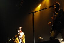 怒髪天「2015年新春TOUR “紅白利き歌合戦”」東京公演の様子。（撮影：石井麻木）