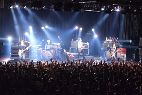 ストレイテナー