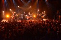 NICO Touches the Walls