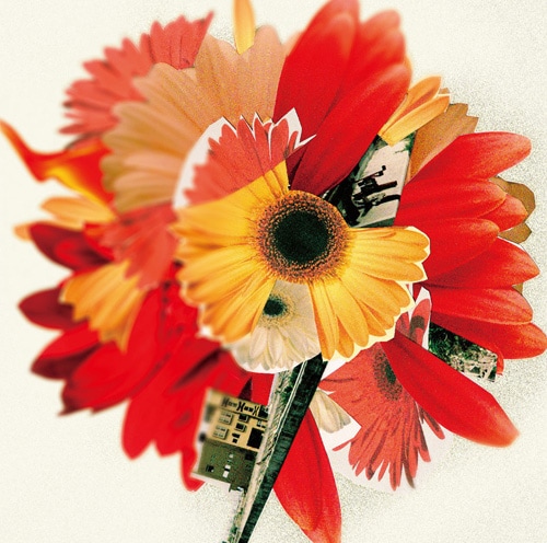 V.A.「NHK『明日へ』東日本大震災復興支援ソング『花は咲く』コンピレーションアルバム ハナハサク」ジャケット