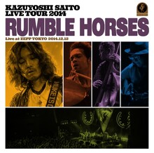 斉藤和義「KAZUYOSHI SAITO LIVE TOUR 2014 "RUMBLE HORSES" Live at ZEPP TOKYO 2014.12.12」CD通常盤ジャケット