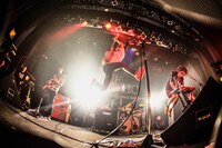 キュウソネコカミ（撮影：渡邉一生）