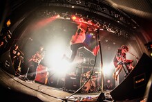 キュウソネコカミ（撮影：渡邉一生）