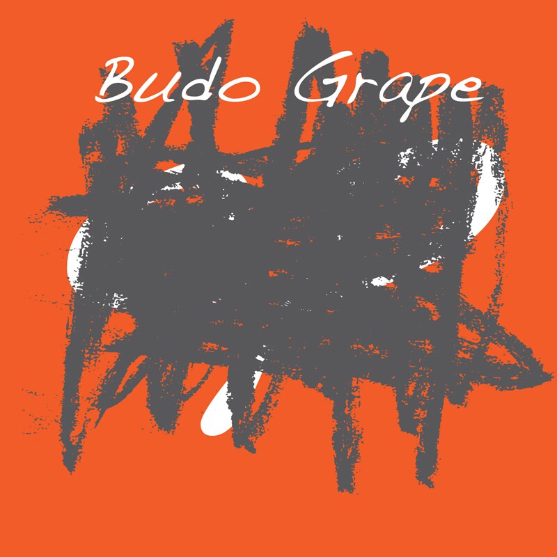 ぶどう÷グレープ「4321火をつけろ」ジャケット