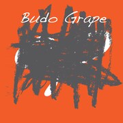 ぶどう÷グレープ「4321火をつけろ」ジャケット