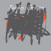 ぶどう÷グレープ「残酷なやさしさ」ジャケット