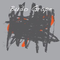 ぶどう÷グレープ「残酷なやさしさ」ジャケット