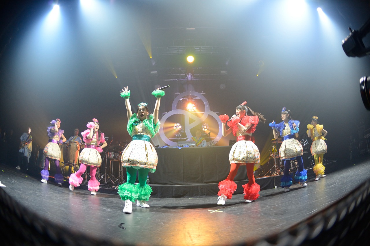 3月13日に豊洲PITにて行われたBasement Jaxxの来日公演に登場したチームしゃちほこ。