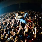 「ビクターに入れてよかった!」キュウソ、幕張で大暴れ
