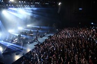 BOOM BOOM SATELLITES「SHINE LIKE A BILLION SUNS PREMIUM GIG」の様子。