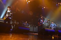 ASIAN KUNG-FU GENERATION