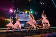 paletによるライブの様子。