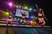 アップアップガールズ（仮）によるライブの様子。