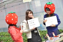 利きいちご対決を行う稲葉愛香、中島早貴、室田瑞希。