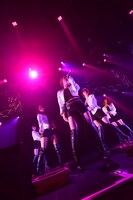 THE ポッシボーによるライブの様子。