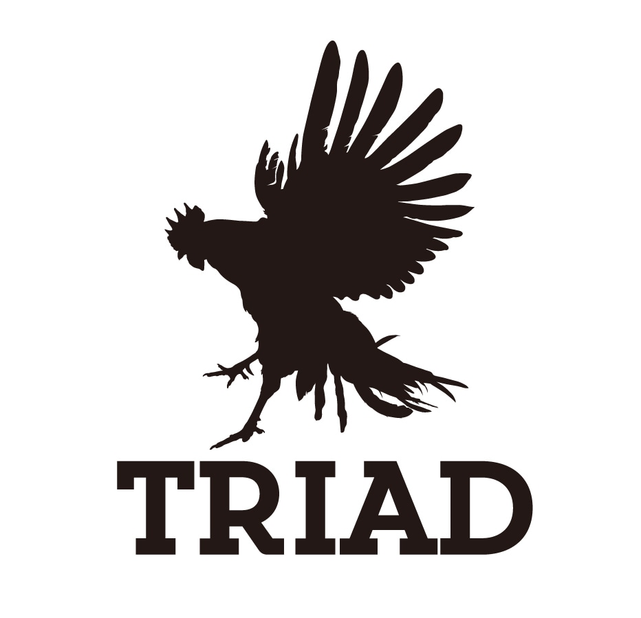 「TRIAD」ロゴ