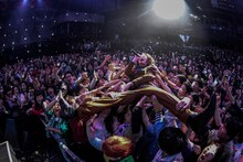 ドレスコーズ「"Don't Trust Ryohei Shima" TOUR ＜完全版＞」のワンシーン。