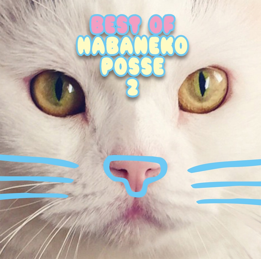 V.A.「ベスト オブ ハバねこポッセ 2」ジャケット