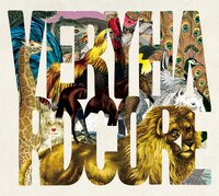 salsa「VERY HARDCORE」ジャケット