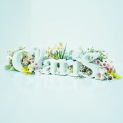 ClariS「ClariS ~SINGLE BEST 1st~」初回限定盤ジャケット