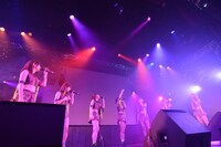 アップアップガールズ（仮）によるライブの様子。