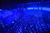 アップアップガールズ（仮）によるライブの様子。