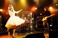 「TRUSTRICK TRUST TOUR 2015」最終公演の様子。