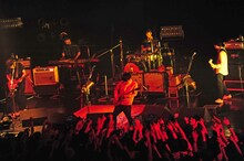 ASIAN KUNG-FU GENERATION「ASIAN KUNG-FU GENERATION Tour 2015 ～酔杯フォーエバー～」東京・Zepp Tokyo公演の様子。（Photo by TEPPEI）