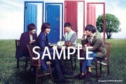 flumpool「FOUR ROOMS」タワーレコード特典ポストカード