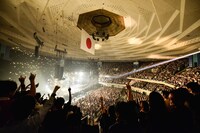 THE BAWDIES「『Boys!』TOUR 2014-2015 -FINAL-」東京・日本武道館公演の様子。（Photo by RUI HASHIMOTO[SOUND SHOOTER]）