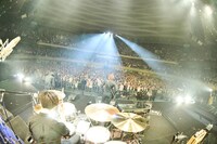 THE BAWDIES「『Boys!』TOUR 2014-2015 -FINAL-」東京・日本武道館公演の様子。（Photo by RUI HASHIMOTO[SOUND SHOOTER]）