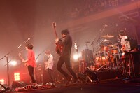 KANA-BOON「KANA-BOONのとぅるとぅるかむとぅるーTOUR 2015 ～夢のアリーナ編～」東京・日本武道館公演の様子。（撮影：古溪一道）