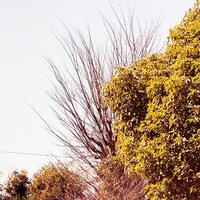 笹倉慎介「TIME STREAM season1」ジャケット