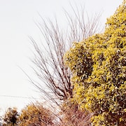 笹倉慎介「TIME STREAM season1」ジャケット