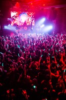 「SPYAIR LIVE in Seoul 2015」の様子。