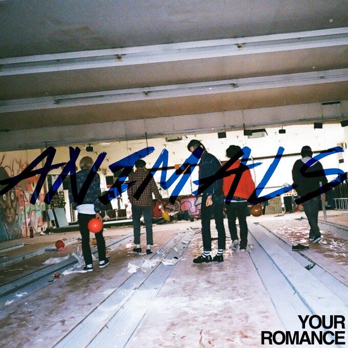 YOUR ROMANCE「ANIMAL」配信ジャケット