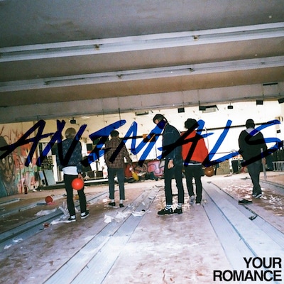 YOUR ROMANCE「ANIMAL」配信ジャケット